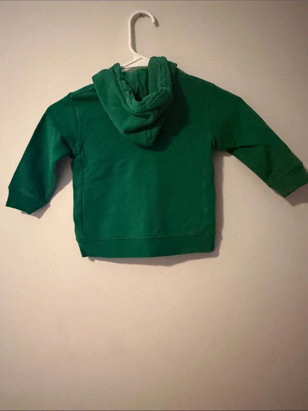 Ralph Lauren Emerald Green Zip Hoodie with Polo Pony